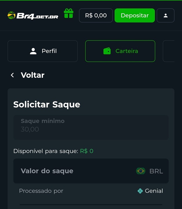 digitando as informacoes para saque na br4bet